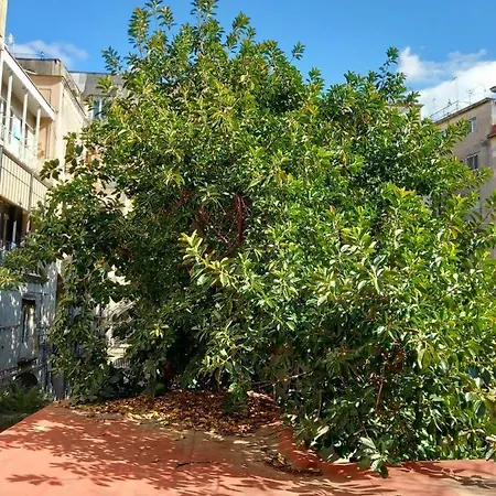 Apartament Santa Chiara Spaccanapoli Neapol